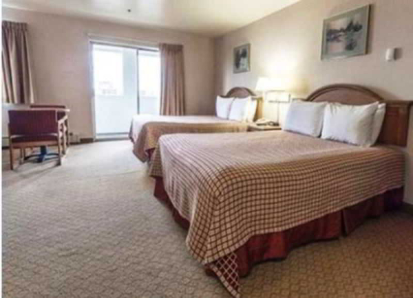 أفضل العروض ل  انتشوراج 