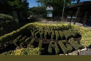 Best offers for Flaminio Village Residence (Bungalow Park) Rome