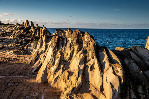 Best offers for The Ritz-Carlton Maui, Kapalua kaplua