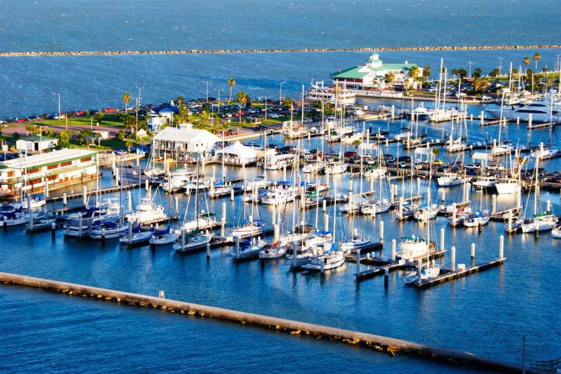 Best offers for Best Western Corpus Christi Corpus Christi 