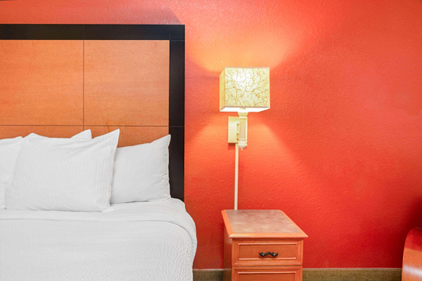 أفضل العروض ل لاكينتا اناند سويتس اصف - باصتش جاردنس تامبا