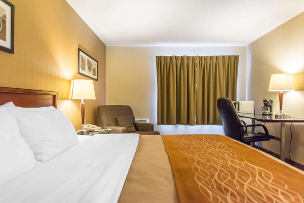 أفضل العروض ل كومفورتان  ) نو جلاسجوو) نو جلاسجوو