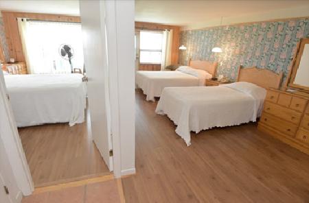 أفضل العروض ل  إيلي اوكس كورديريس