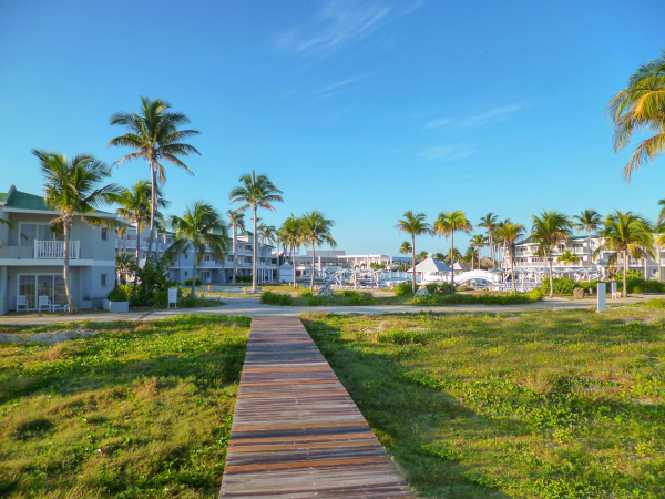 Best offers for Tryp Cayo Coco Cayo Coco