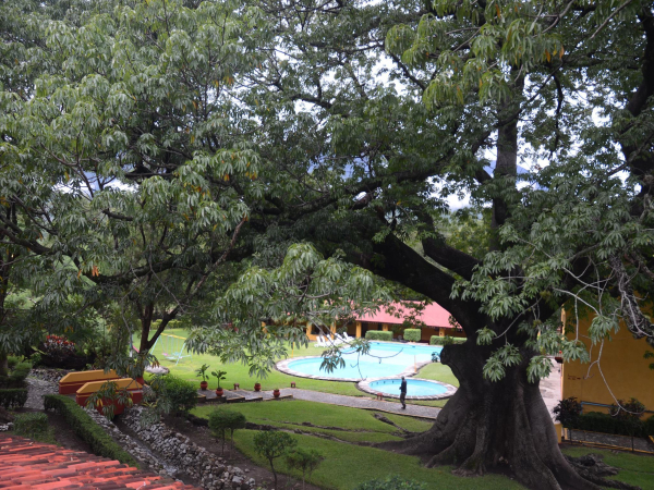 Best offers for Mision Conca ARROYO SECO