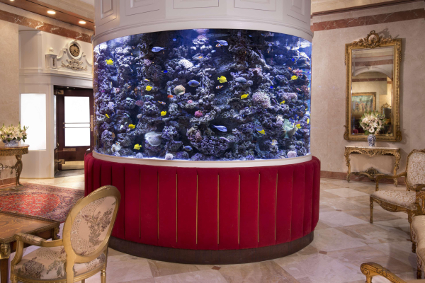 أفضل العروض ل فندق ذ كيمبرلي نيويورك