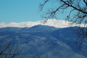 Best offers for Kibbutz Kfar Kibbutz Almog