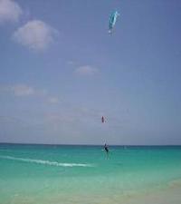 Best offers for Sabura Santa Maria