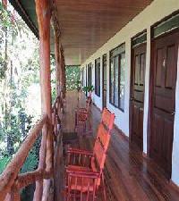 Best offers for Tabulia Tree Manuel Antonio