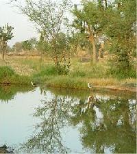 Best offers for Desert Resort Nawalgarh