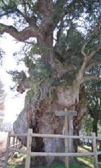 أفضل العروض ل منزل دا كروث ا بوبرا دو برويان