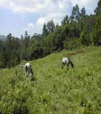 Best offers for Casa Pedrolo Outes