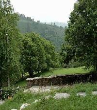 Best offers for Cruceiro de Goo Goo