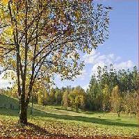 أفضل العروض ل  بونتيدويمي