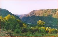 Best offers for Reitoral de Chandrexa Parada De Sil