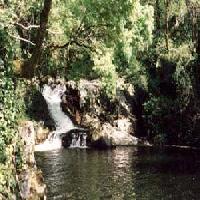 Best offers for Torre Vilariño Fión