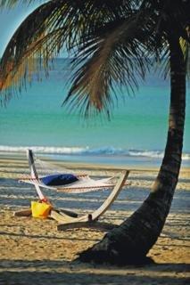 Best offers for The Ritz Carlton, San Juan Carolina