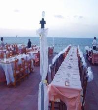 Best offers for Manolya Kerynia