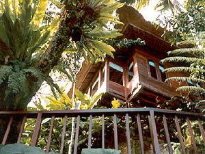 Natura Resort & Spa