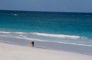 Coral Sands