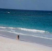 أفضل العروض ل Coral Sands هاربوراسلاند