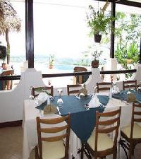 Best offers for Whales and Dolphins Uvita Island