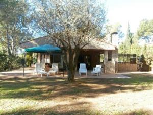 أفضل العروض ل ابت. بالافروخيي بالافروجل