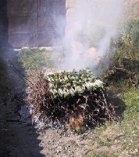 Best offers for Casa Colot El Pont d Armentera