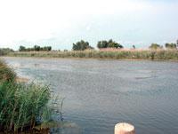 Best offers for Casa Cusa Sant Jaume Dels Domenys