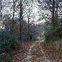 Best offers for Casa Del Callejón Casas Del Castanar