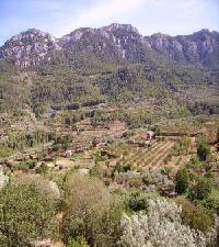 Best offers for Ca Les Barberes Pauls