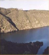 أفضل العروض ل دييسا تريس ريبيروس هريره د الكانتاره