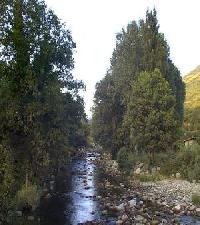 أفضل العروض ل  جرت