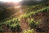 Best offers for L'era La Torre De Fontaubella