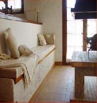 أفضل العروض ل ليوكاليبتوس مونتفري