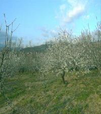 Best offers for Mirador de Las Casas Casas Del Castanar