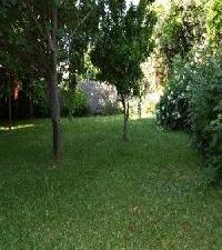 أفضل العروض ل  كاوكوس د يوست