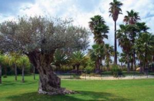 Best offers for VALENCIA GOLF Betera