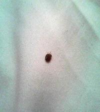 Best offers for Hotel Des Arts Montmartre Paris