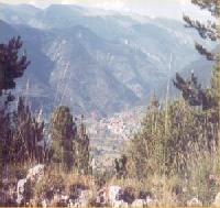 أفضل العروض ل كال فاراخيتيس تويكسينت