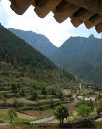 أفضل العروض ل كال جابرييل تويكسينت