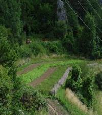 Best offers for Cal Tomás Ossera