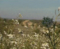 Best offers for Les Pletes Massoteres