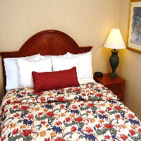 Hilton Garden Inn Addison, Tx