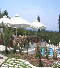 Best offers for Seralis Pilion