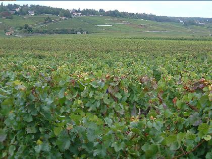 FRANCE AND BARCELONA FRANCE AND BARCELONA