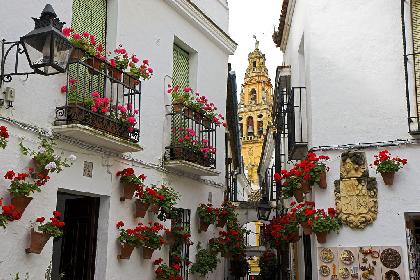 رحلات عواصم المغرب التاريخية وإشبيلية ومدريد 