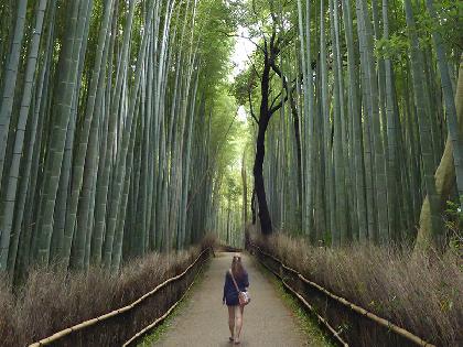 CENTRAL JAPAN END KYOTO CENTRAL JAPAN END KYOTO