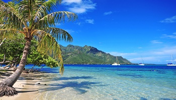 دليل مطاعم جزر الكوك أين تأكل فى جزر الكوك