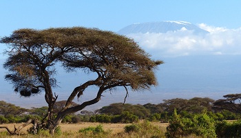 Restaurants in Kenya Where to eat inKenya Restaurants in Kenya Where to eat in Kenya